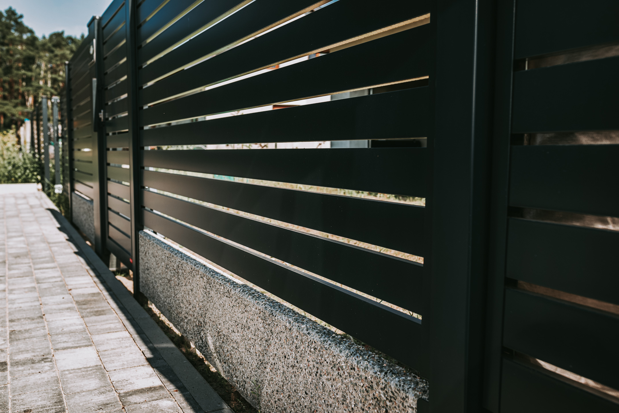 Modern panel fencing in anthracite color, visible spans and a wicket, forest in the background.